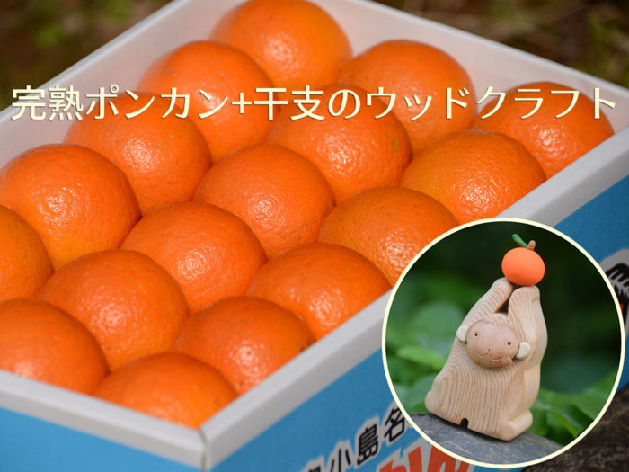 屋久島お歳暮セット「完熟ポンカン+干支のウッドクラフト」