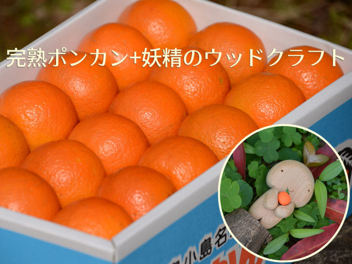お歳暮セット【ポンカン＋猫ちゃんのクラフト】 | こころまちギフト