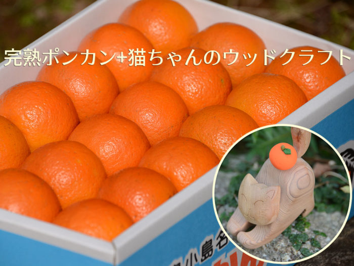 屋久島お歳暮セット「完熟ポンカン+猫ちゃんのウッドクラフト」