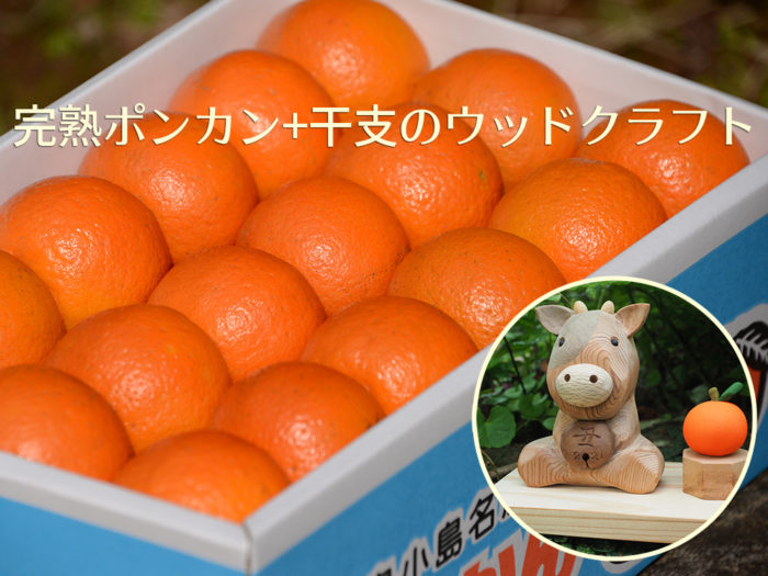 屋久島お歳暮セット「完熟ポンカン+干支のウッドクラフト」丑年