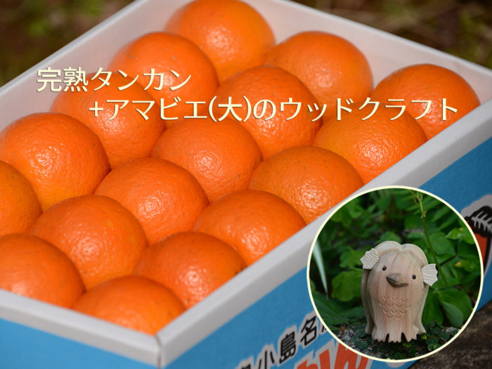 節分セット「タンカン+アマビエ(大)」のイメージ画像