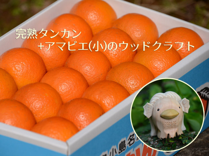 節分セット「タンカン+アマビエ(小)」のイメージ画像