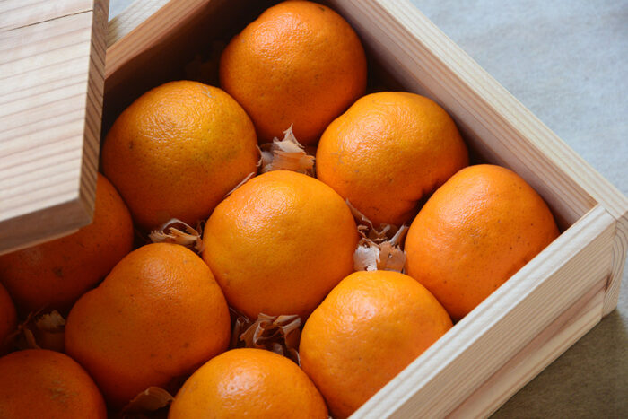 屋久島地スギの木箱に入ったタンカン